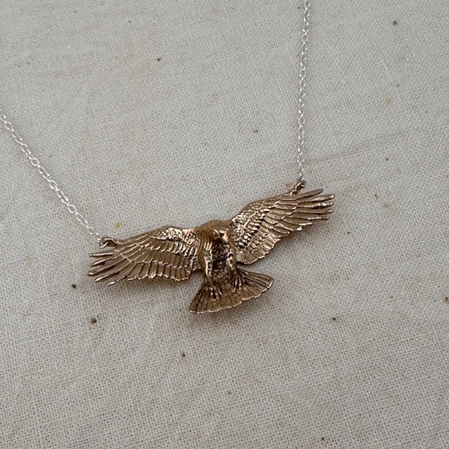 Jewelry Evolution Necklace Raven Necklace
