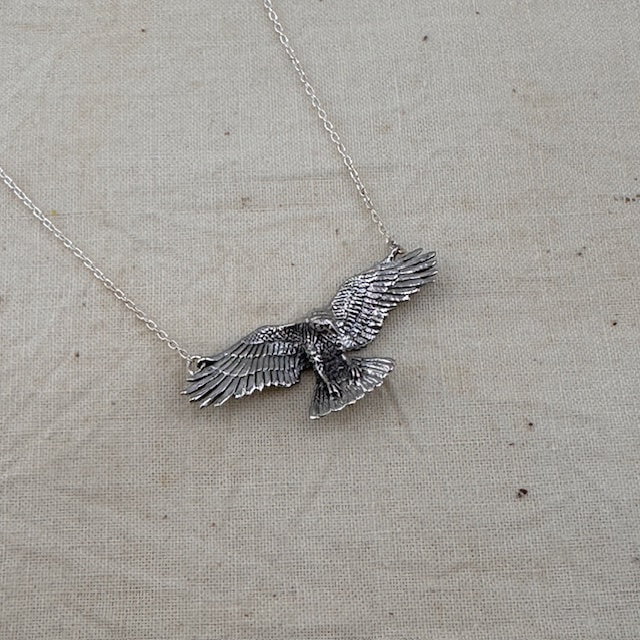 Jewelry Evolution Necklace Raven Necklace