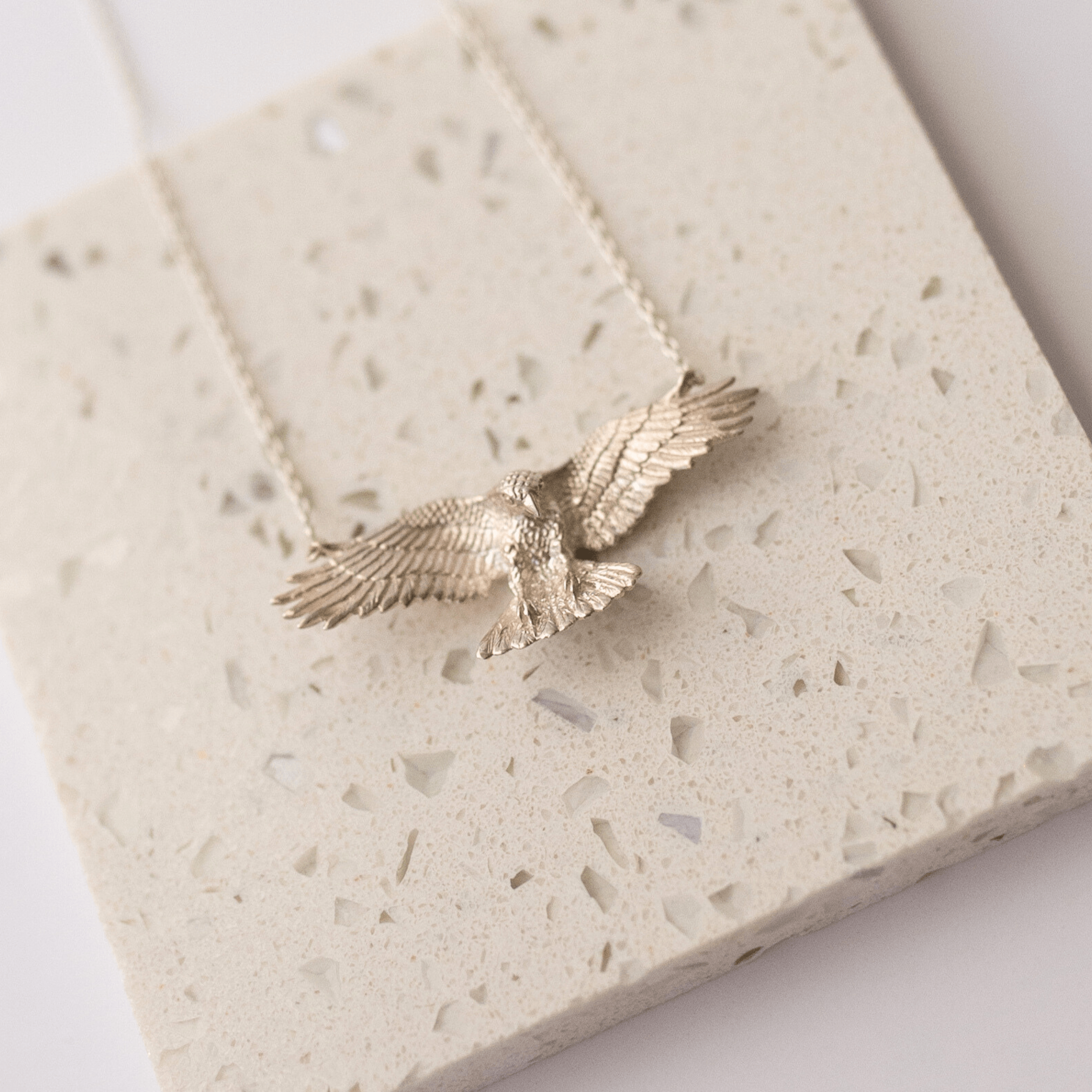 Jewelry Evolution Necklace Raven Necklace