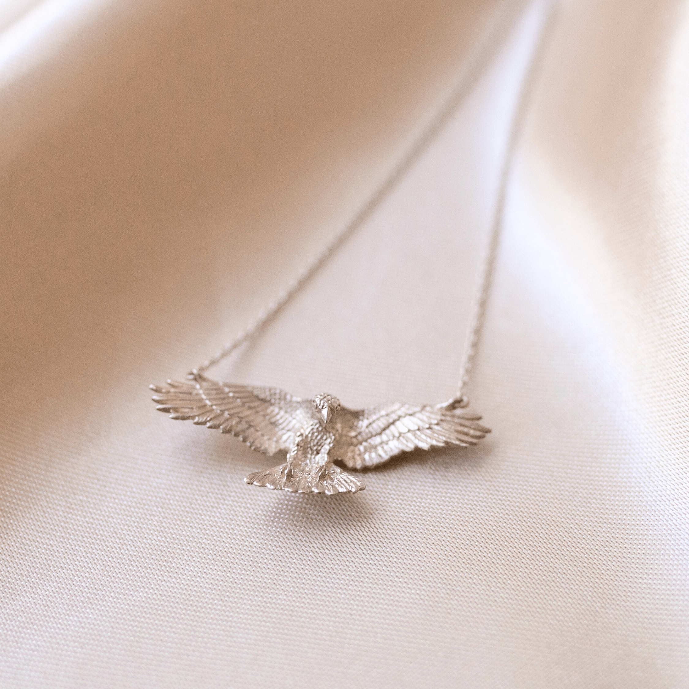 Jewelry Evolution Necklace Raven Necklace