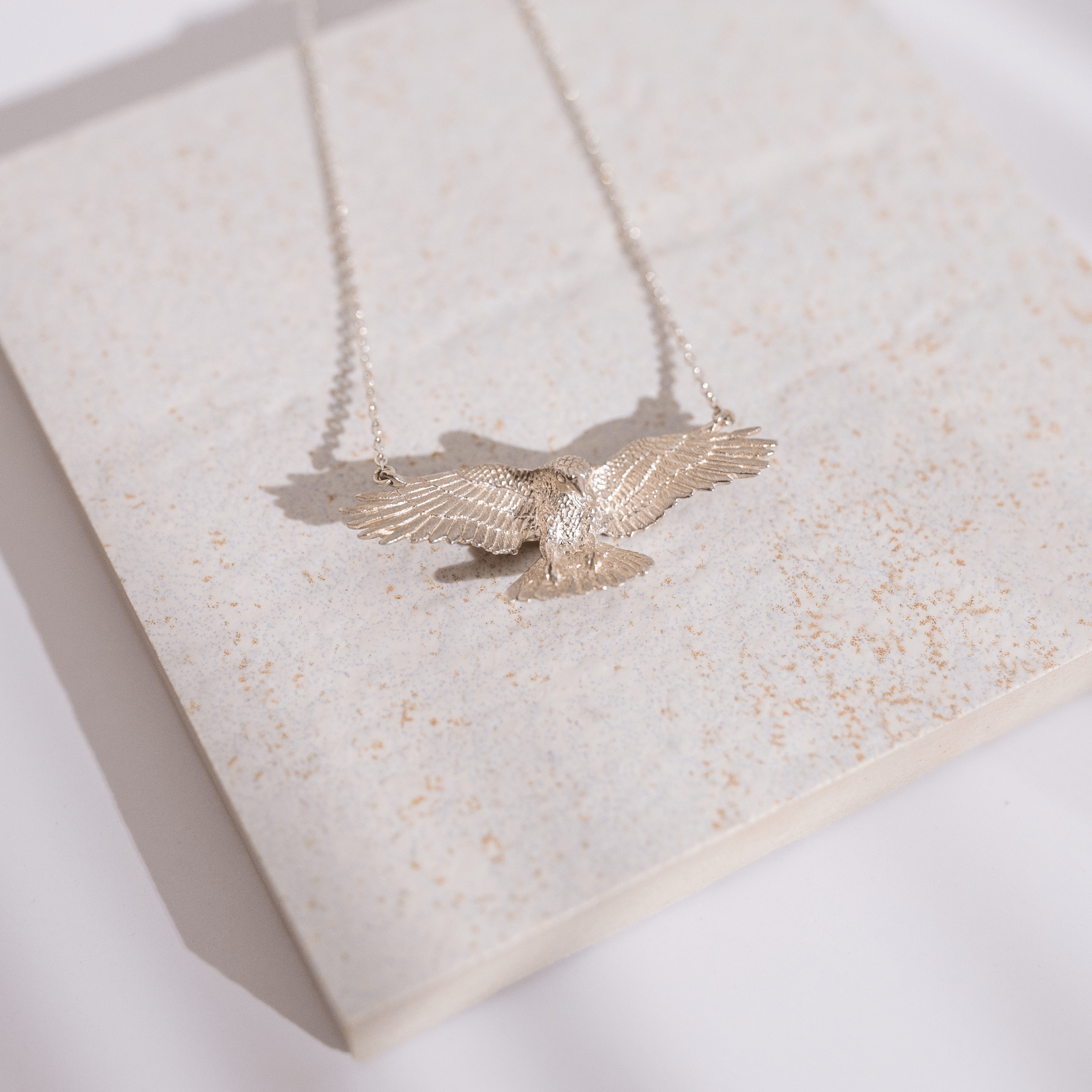 Jewelry Evolution Necklace Raven Necklace