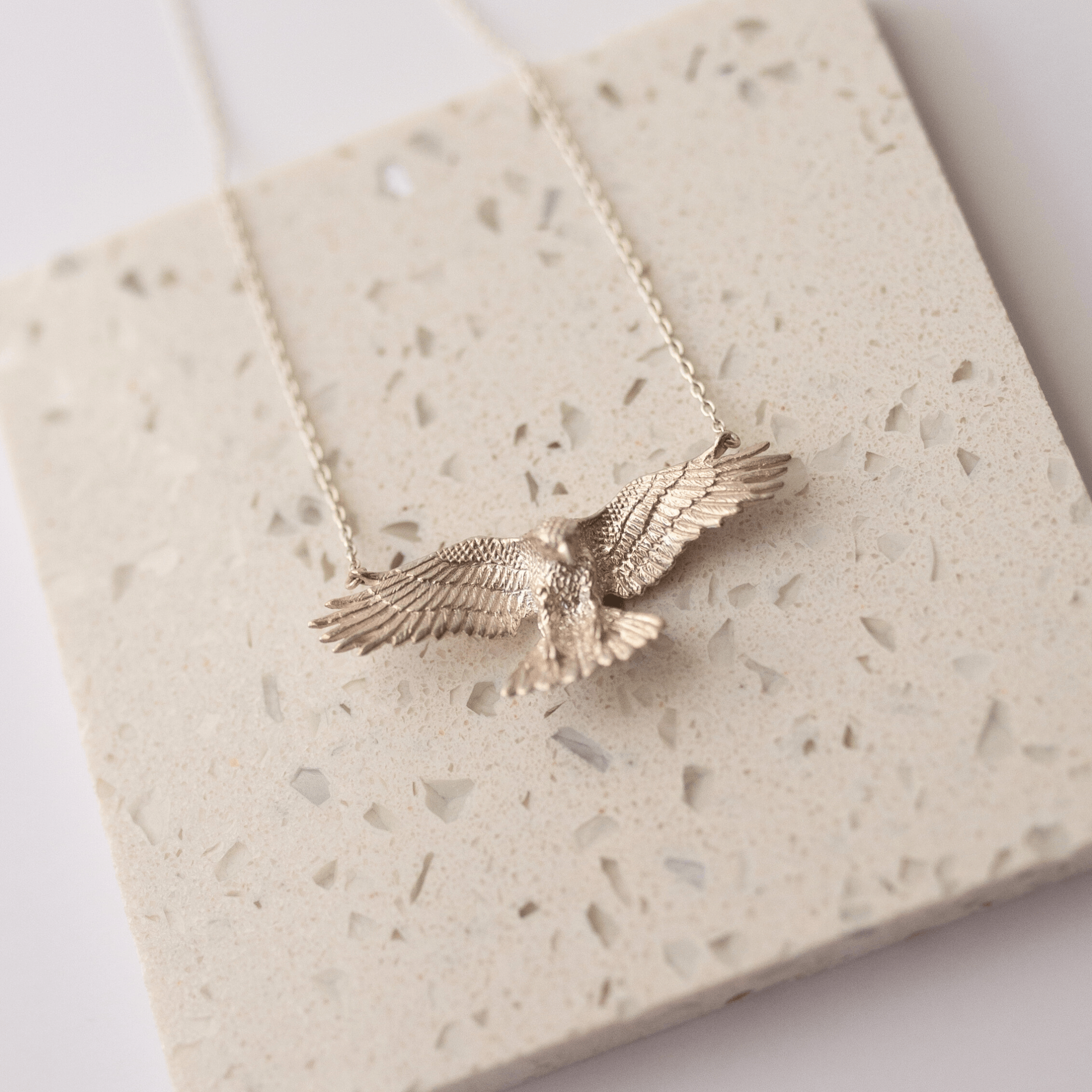 Jewelry Evolution Necklace Raven Necklace