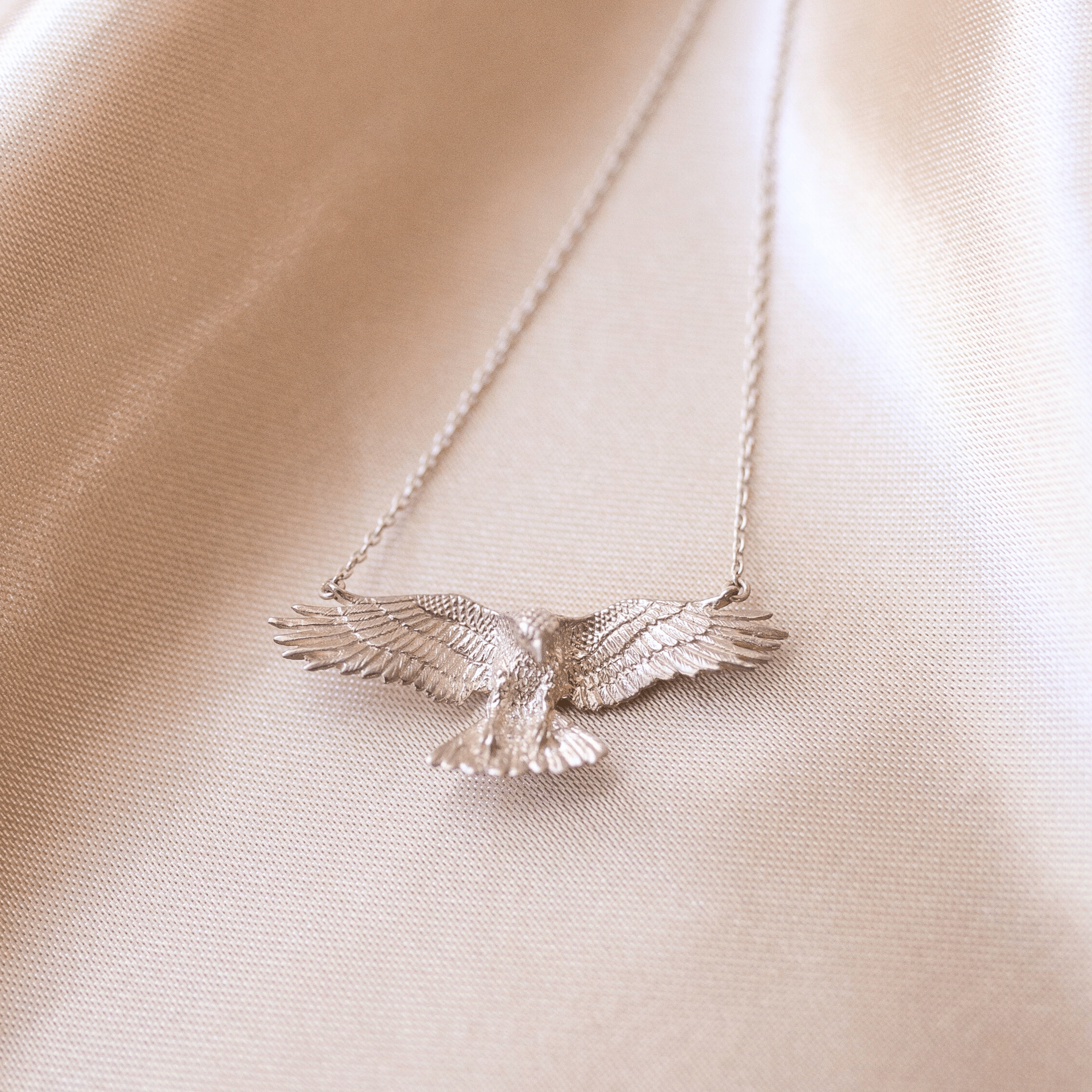 Jewelry Evolution Necklace Raven Necklace