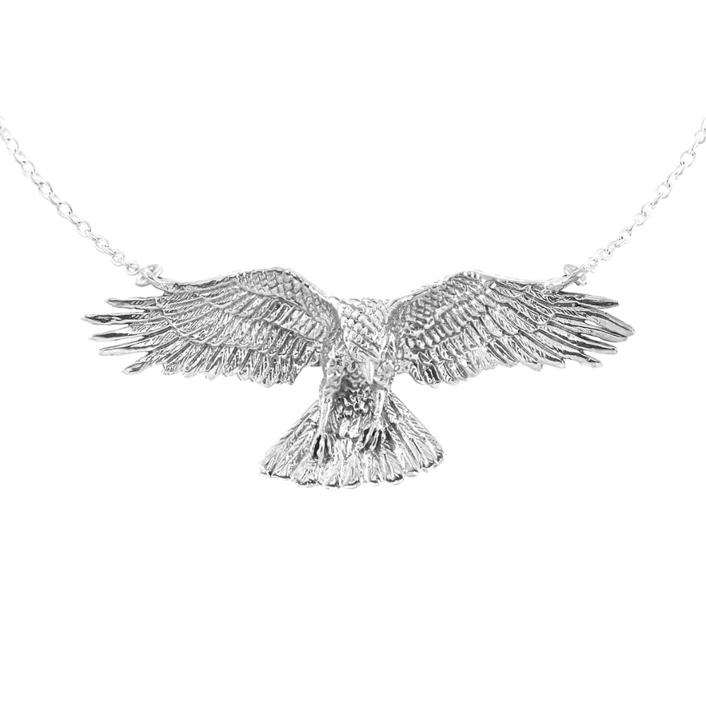 Jewelry Evolution Necklace Raven Necklace